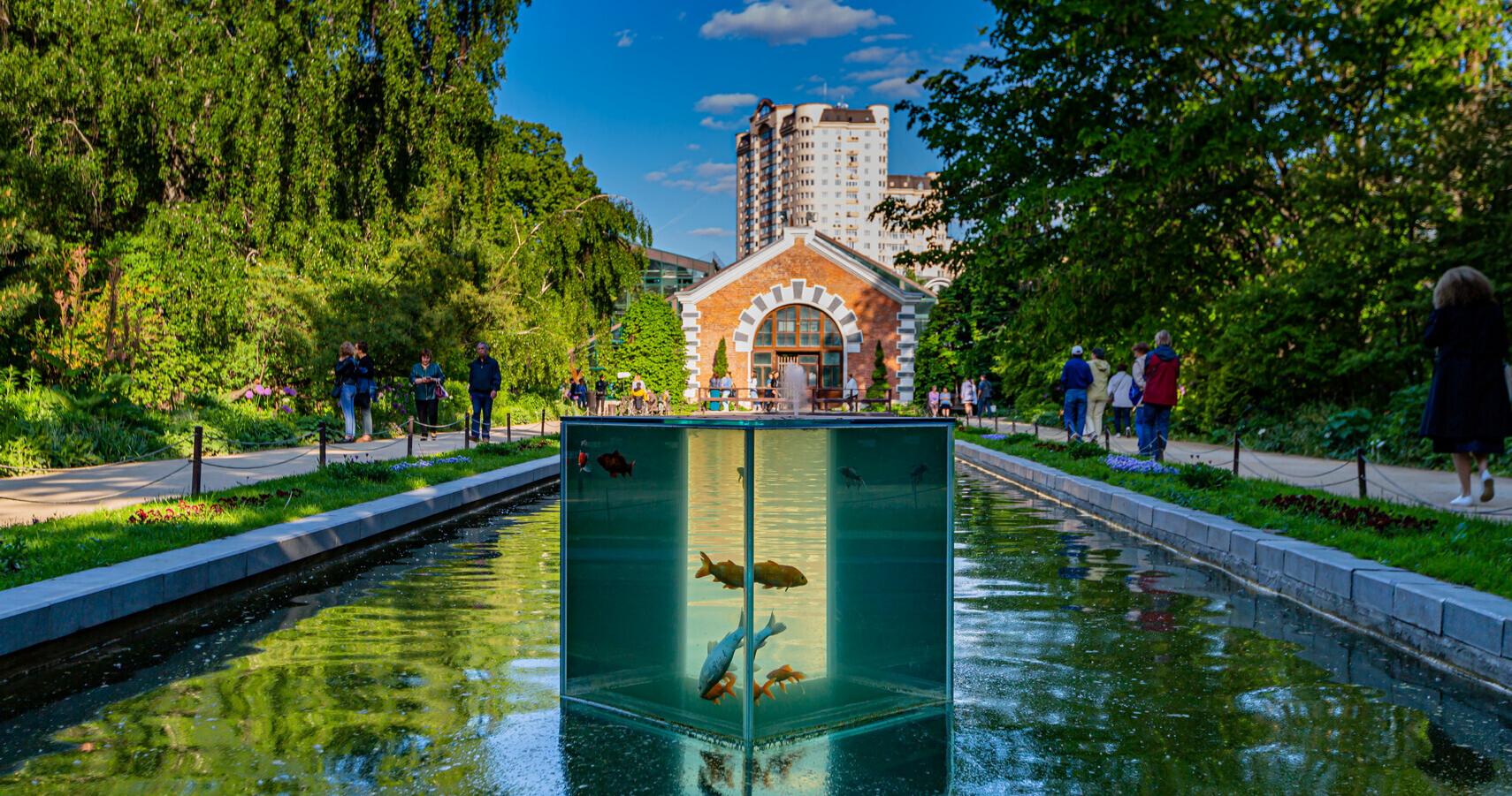 Аптекарский огород